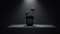 Earbuds 01
